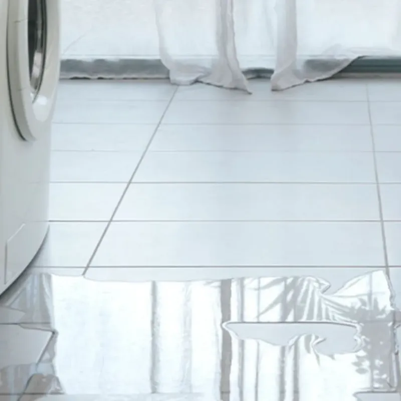 Appliance Leak Cleanup in Bellevue, KY