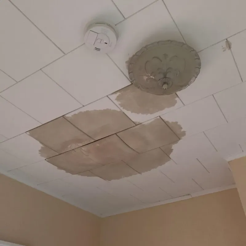 Ceiling Water Damage Repair in Bellevue, KY