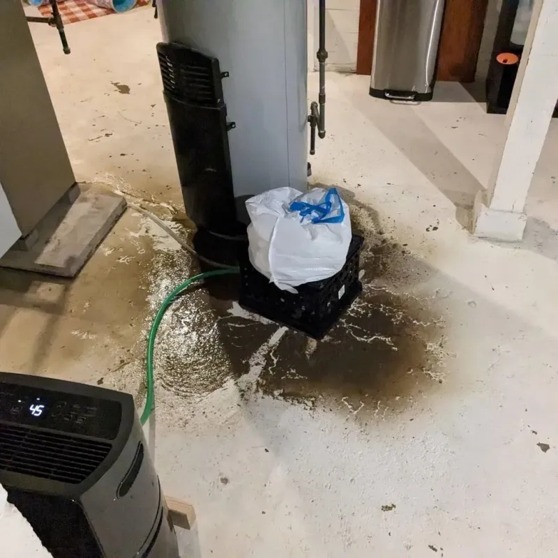 Sewage Backup Cleanup Service in Bellevue, KY